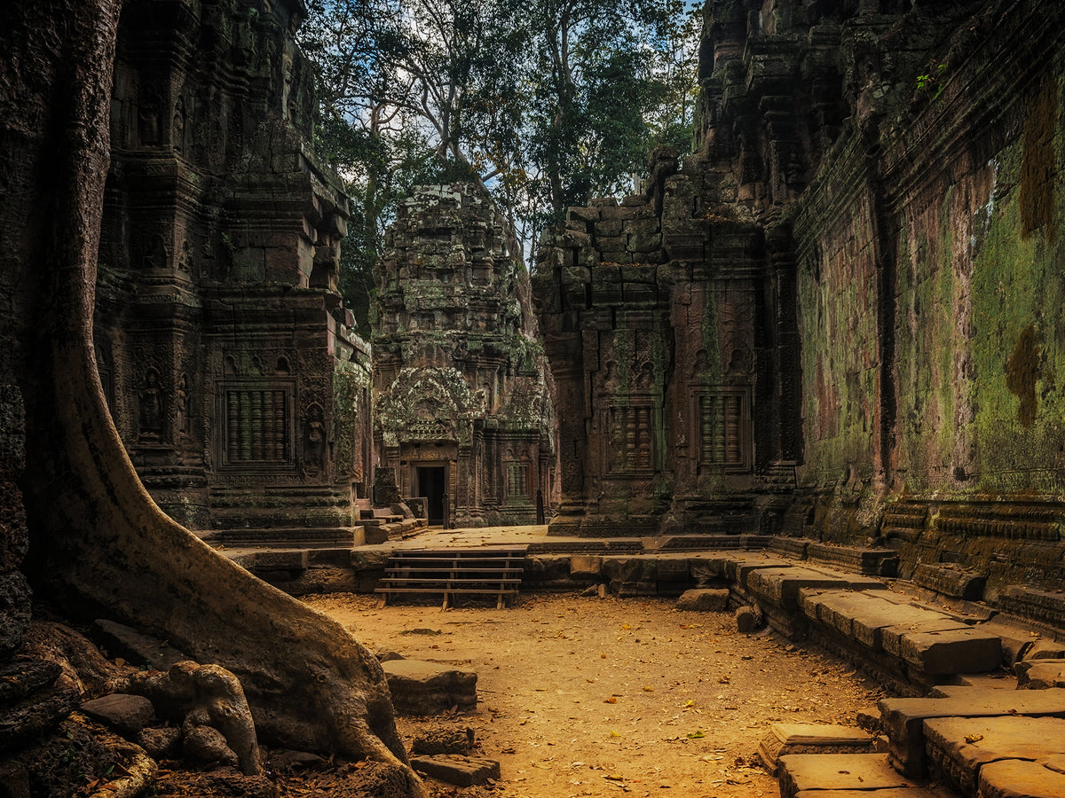 TaProhm_16c29bbd-9cbc-46a5-